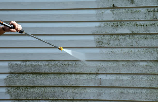 Best Fence Cleaning and Maintenance in Garrett, TX